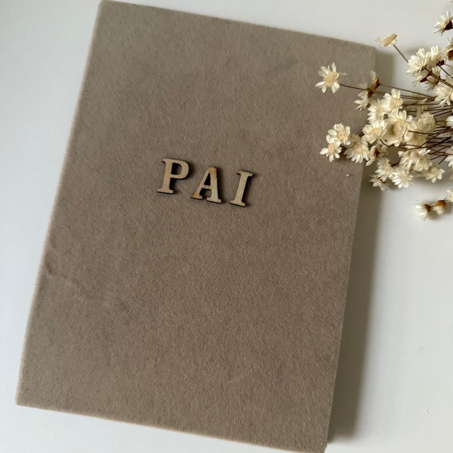 Álbum de fotos- Memories