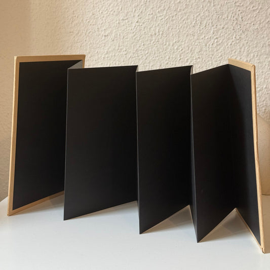 Álbum de fotos - Acordeão