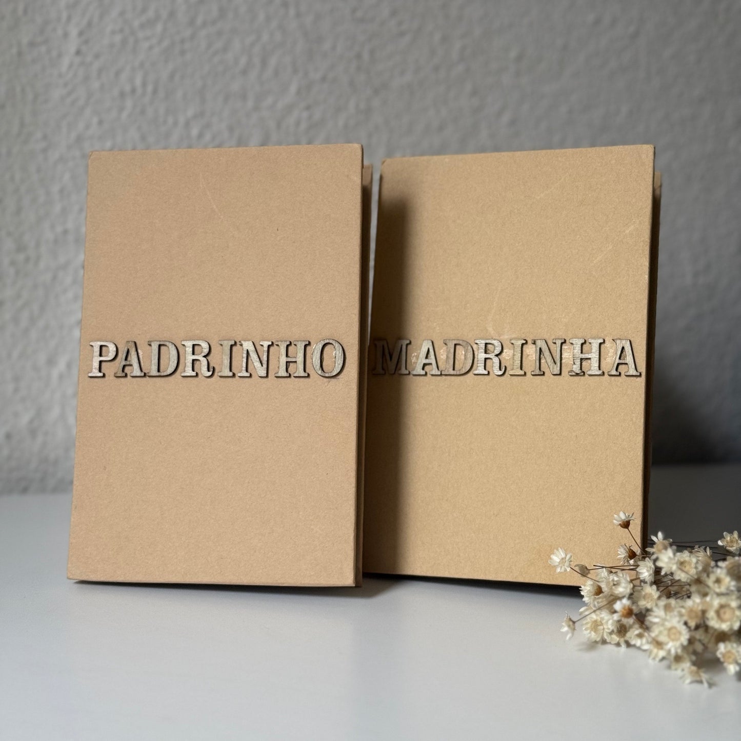 Álbum de fotos - Acordeão